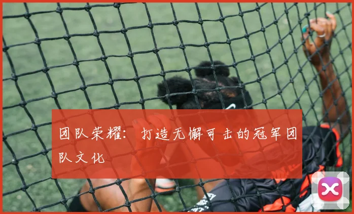 团队荣耀：打造无懈可击的冠军团队文化